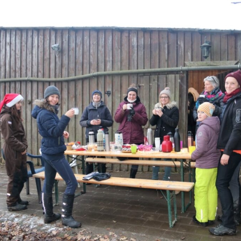 Weihnachtsfeier und Schneegestöber | Islandpferde Coburger Land - Annina Hauck