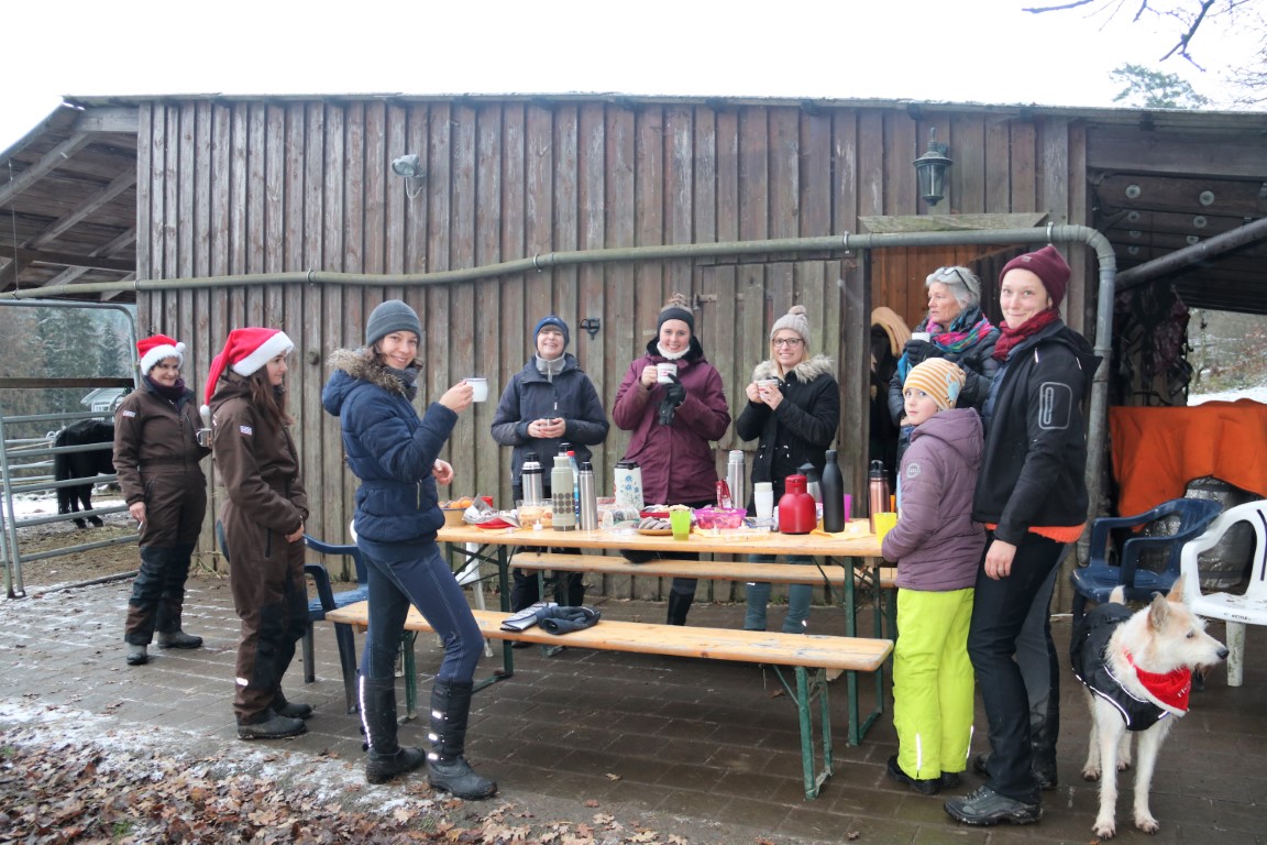 Weihnachtsfeier und Schneegestöber | Islandpferde Coburger Land - Annina Hauck