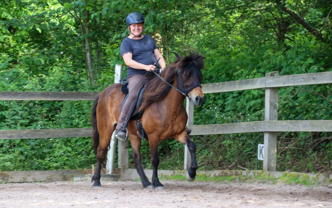 Allgemeiner Reitlehrgang mit Katha Buchta