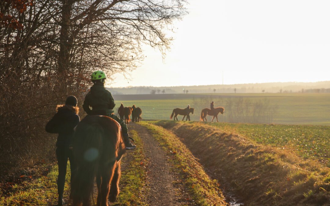 Stallweihnacht